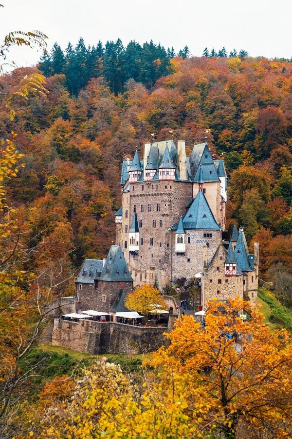 Le Donjon d'Allier: Activités et attraits touristiques régionaux